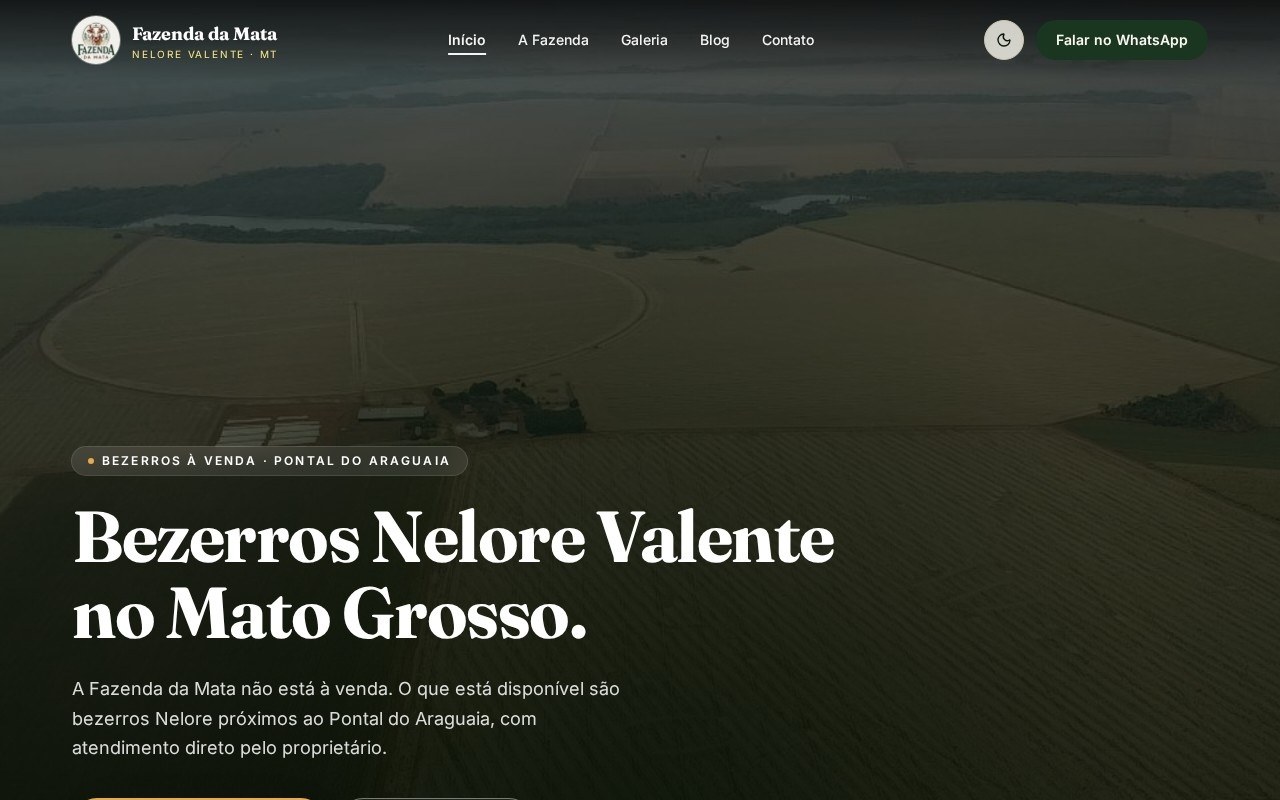 Preview do site Fazenda Mata — projeto entregue pela AtivaSite